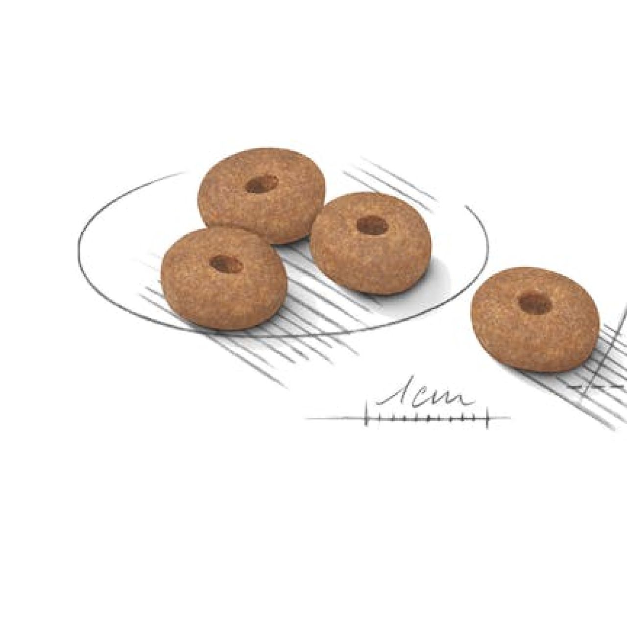 Royal Canin Mini Light Weight Care