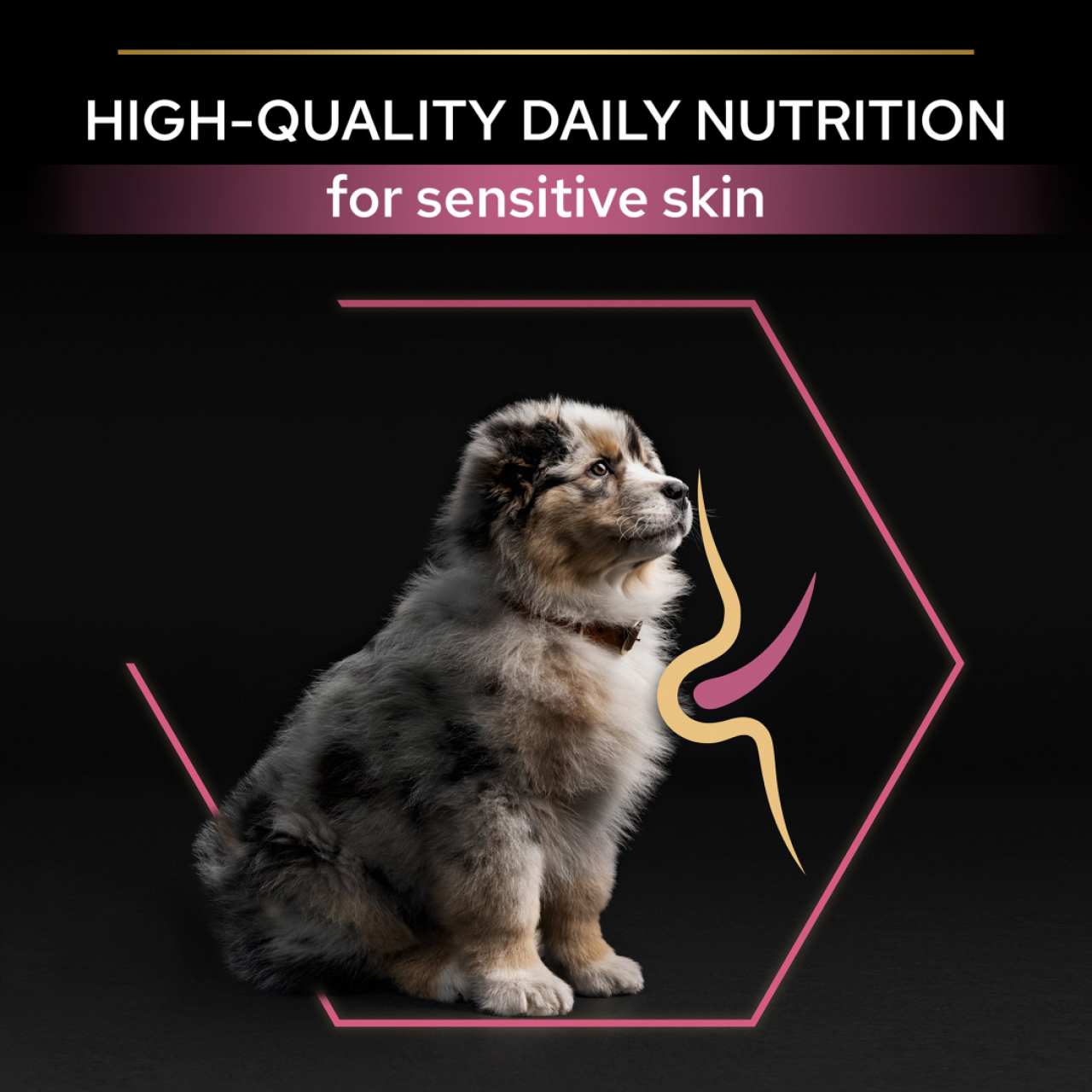 PRO PLAN Medium puppy sensitive skin - salmon 12kg