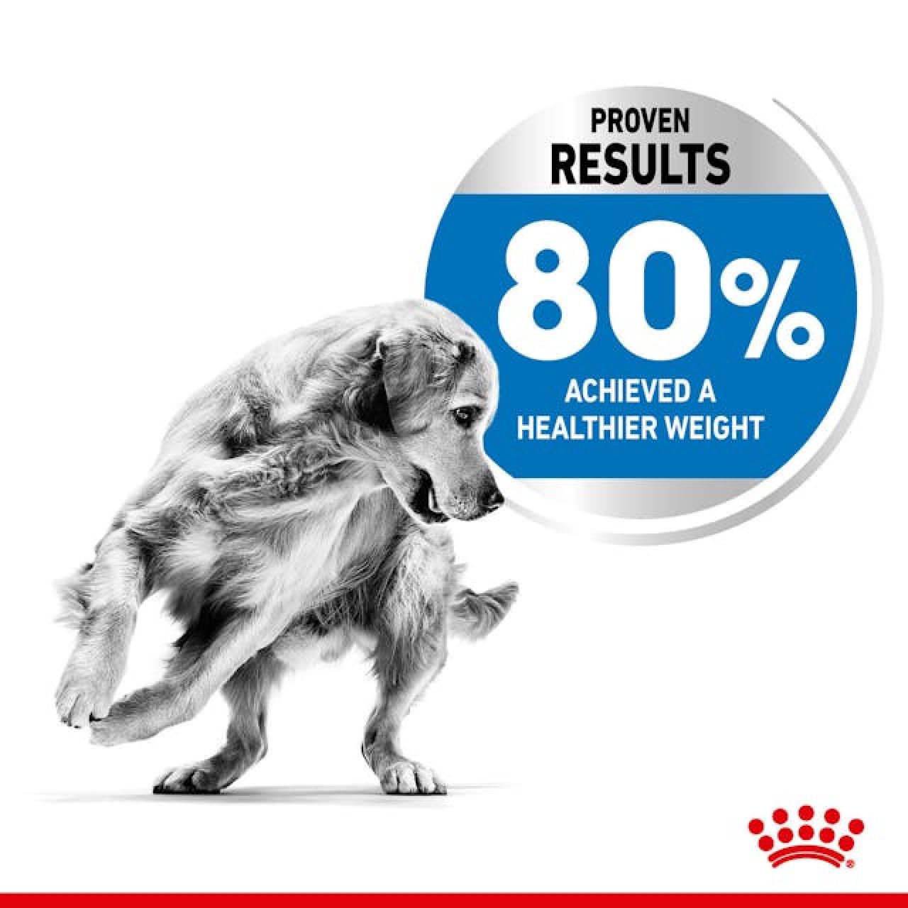 ROYAL CANIN CCN MEDIUM LIGHT WEIGHT CARE 3kg