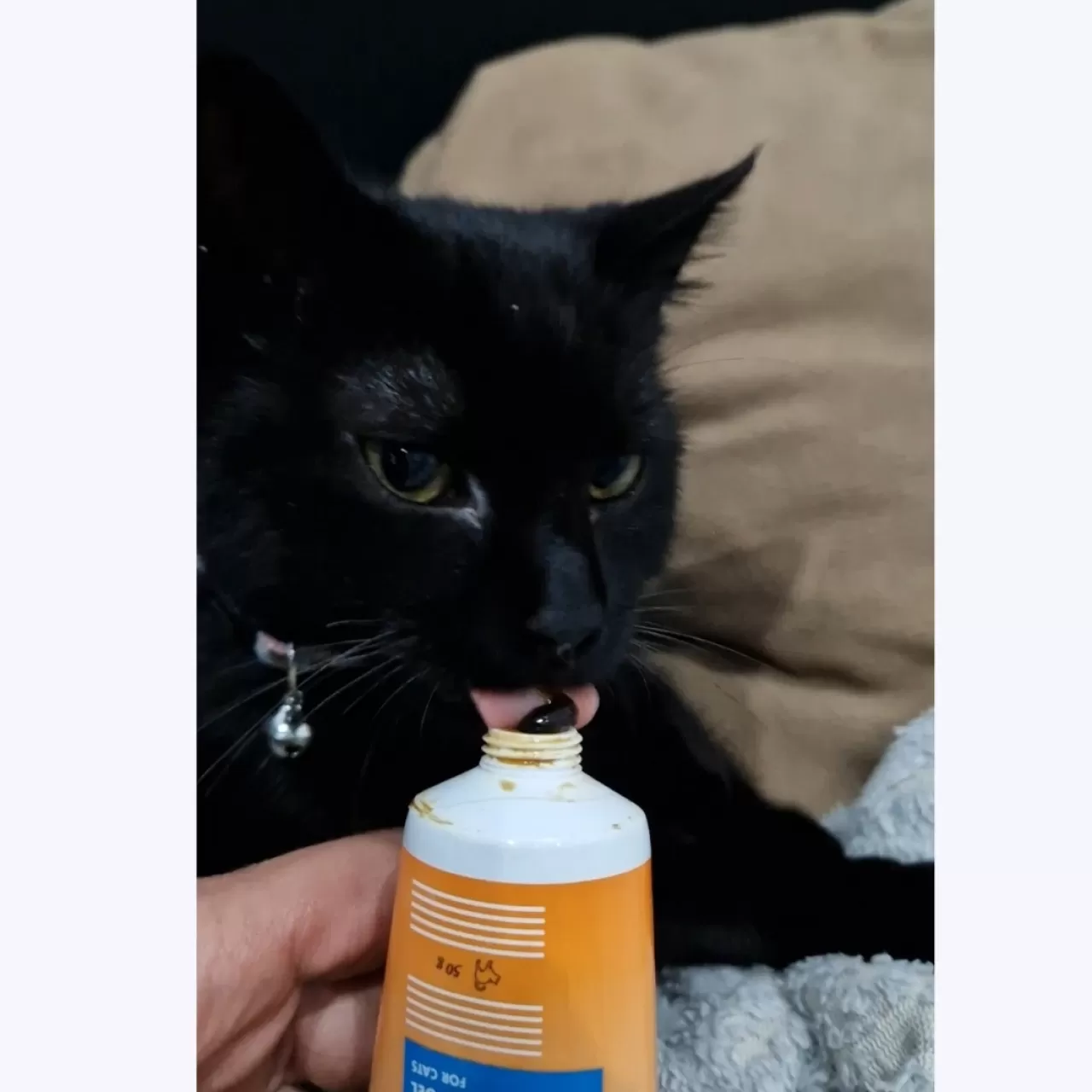 Diafarm VME pasta-gel za mačke 50g