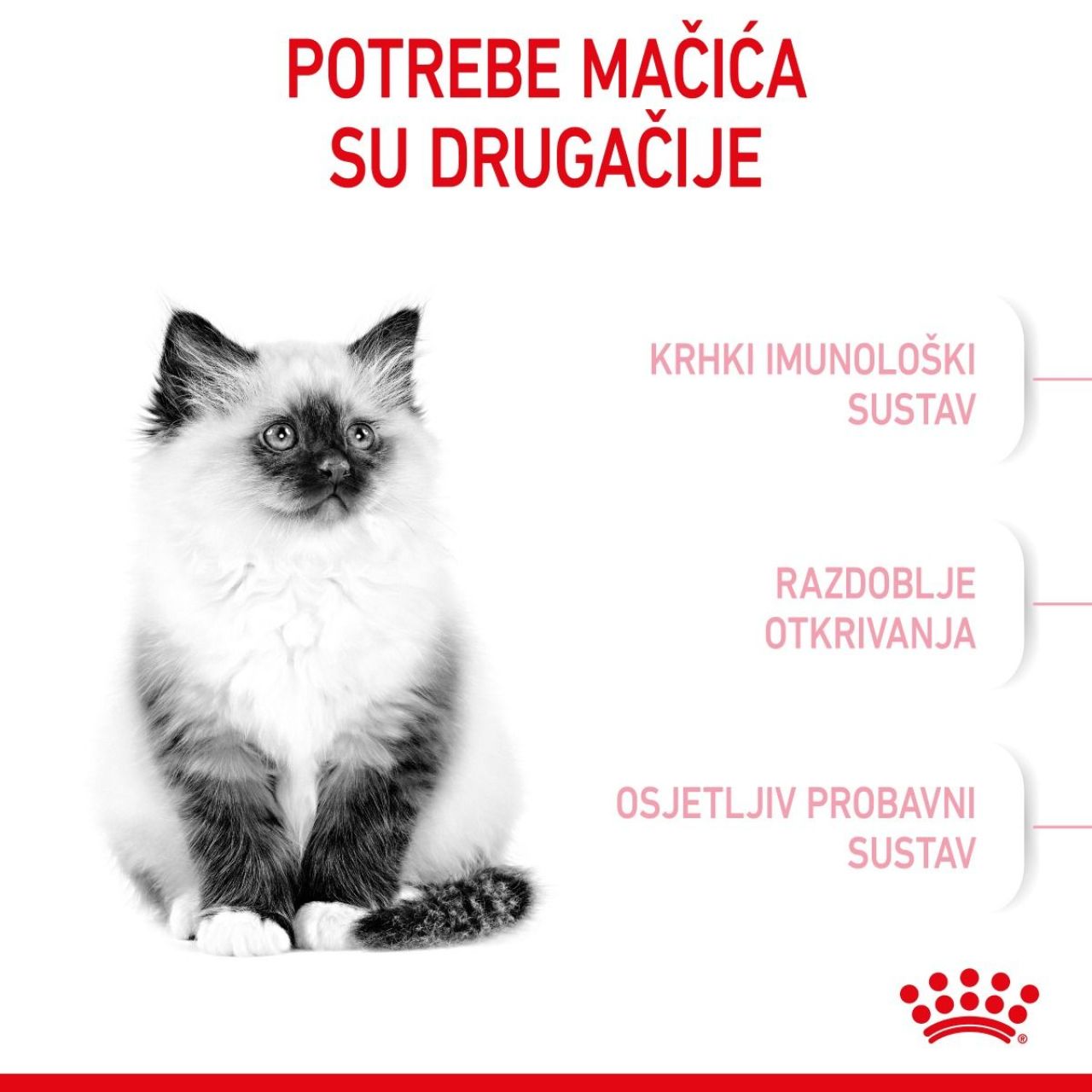 Royal Canin Cat Kitten 400g