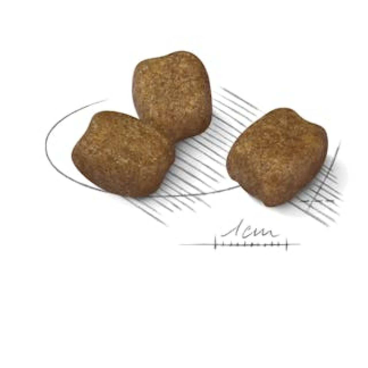 Royal Canin CCN MINI DENTAL CARE 1kg