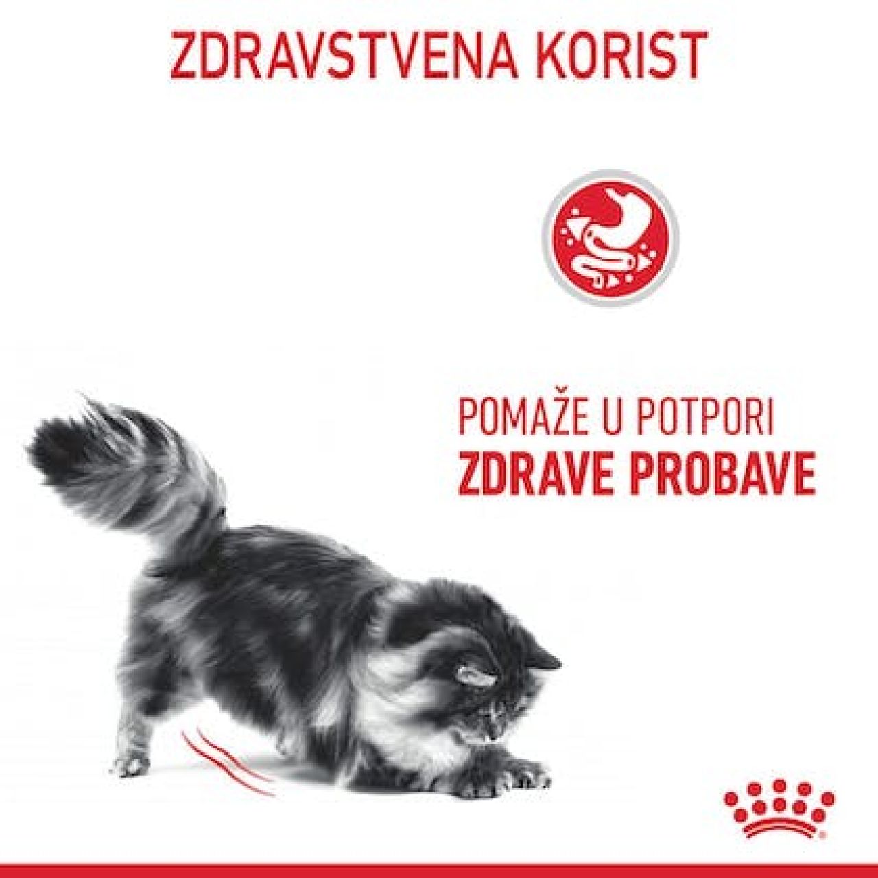 Royal Canin Cat DIGESTIVE CARE