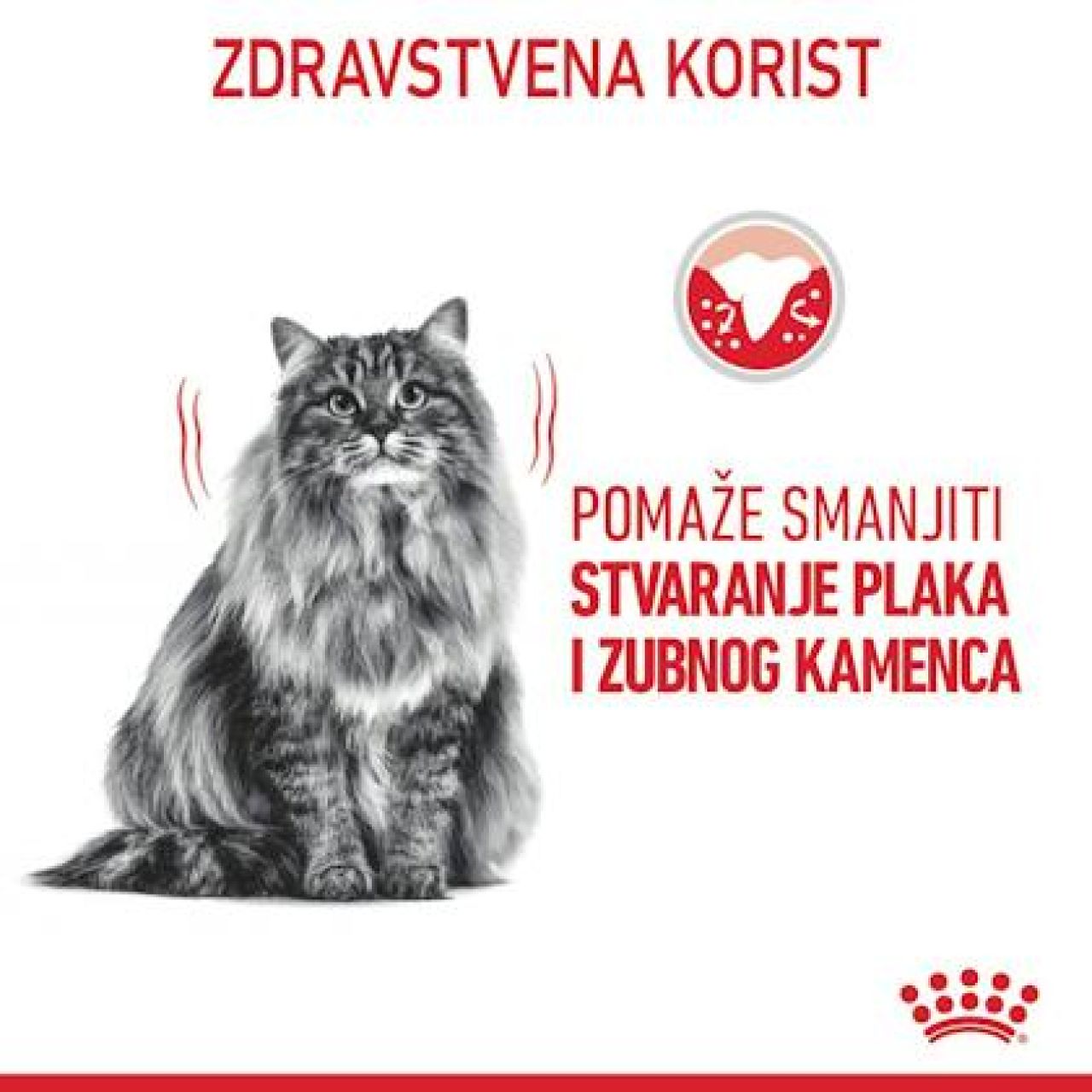 Royal Canin Cat DENTAL Care