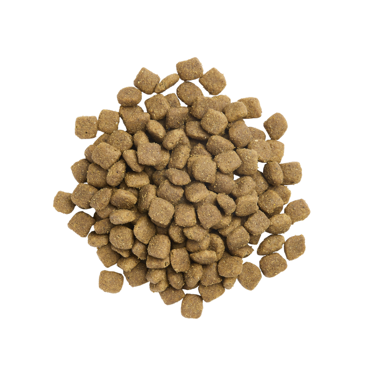 PRO PLAN Expert Care Nutrition - Canine Adult Digestion Care, janjetina - 10kg