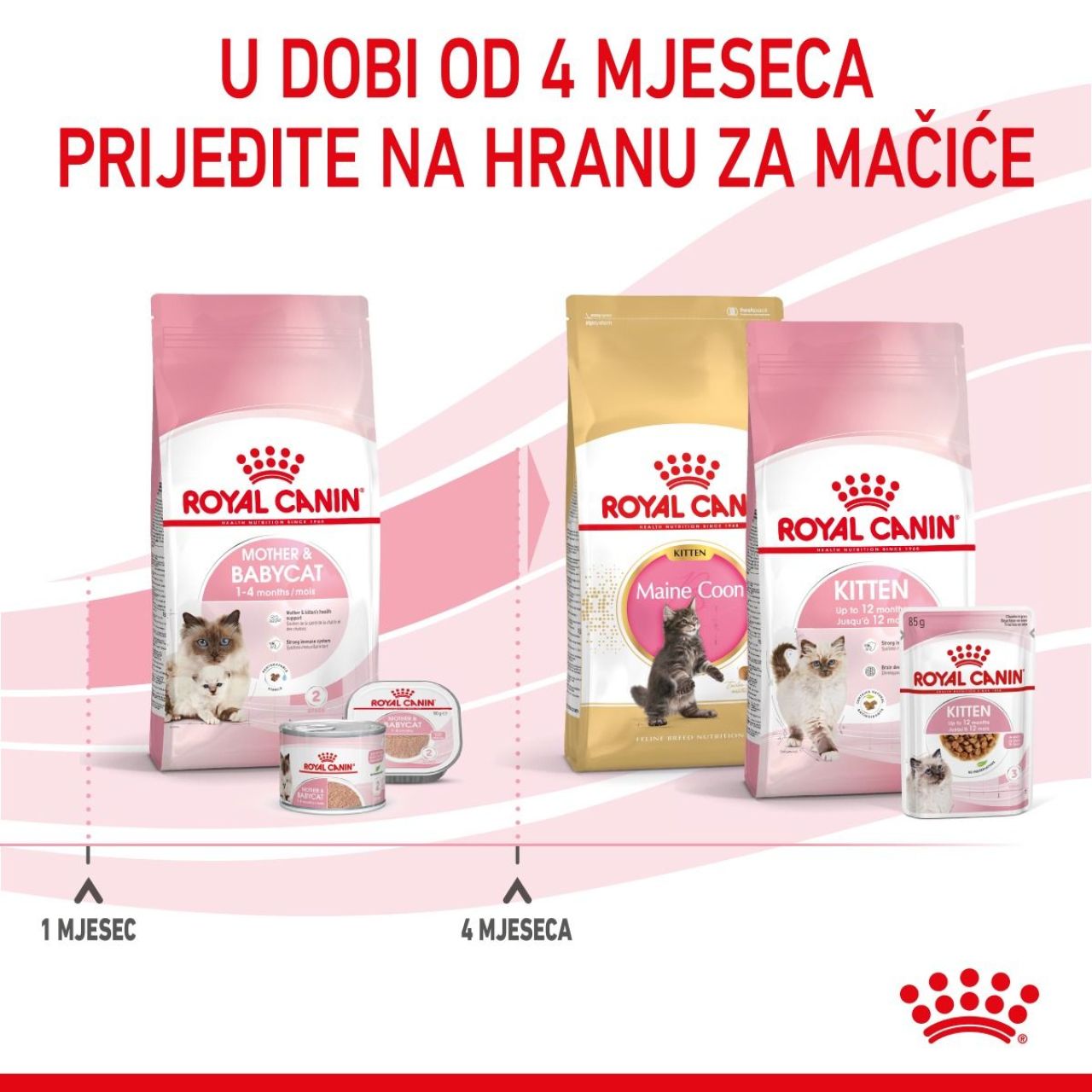 Royal Canin Cat Mother & Babycat
