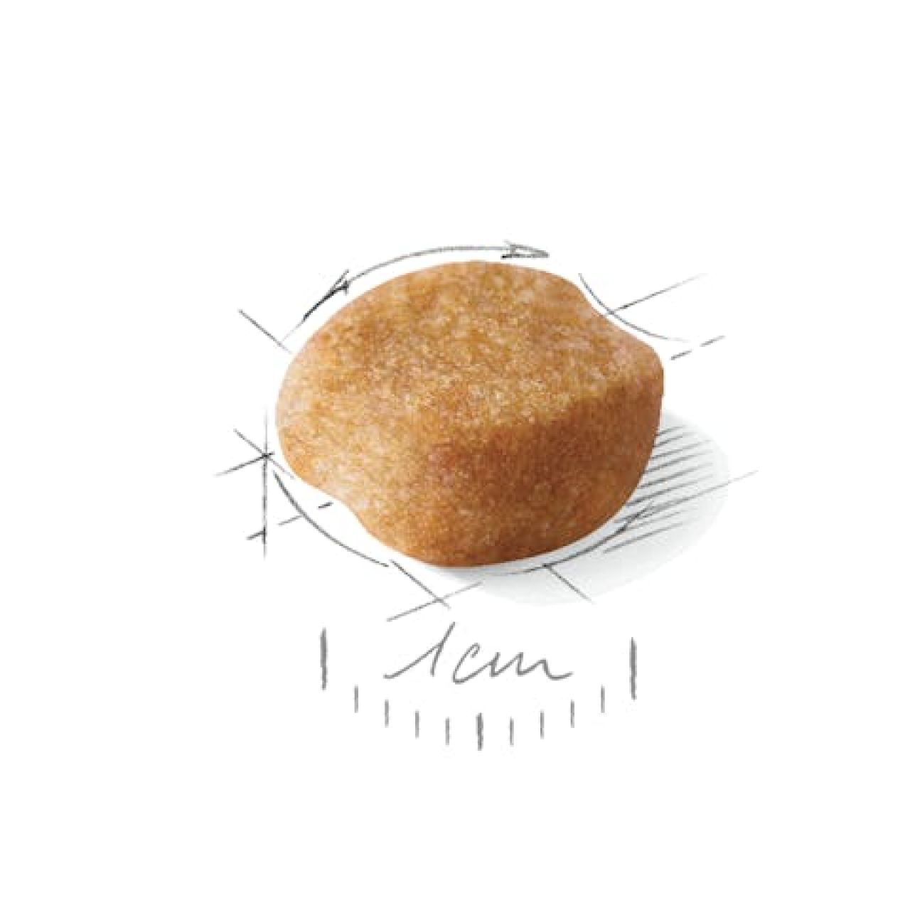 Yorkshire Terrier Adult - 500g