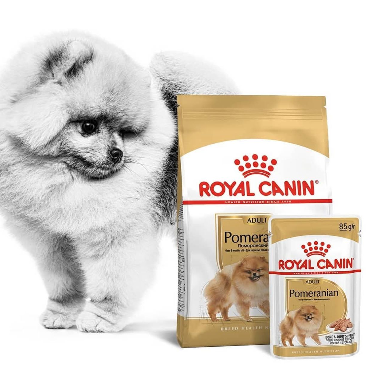 Royal Canin BHN POMERANIAN