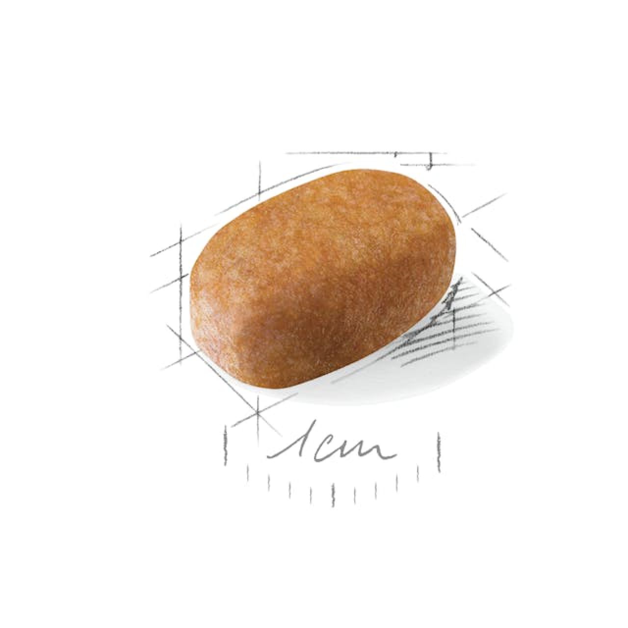 Royal Canin BHN MALTESE 500g