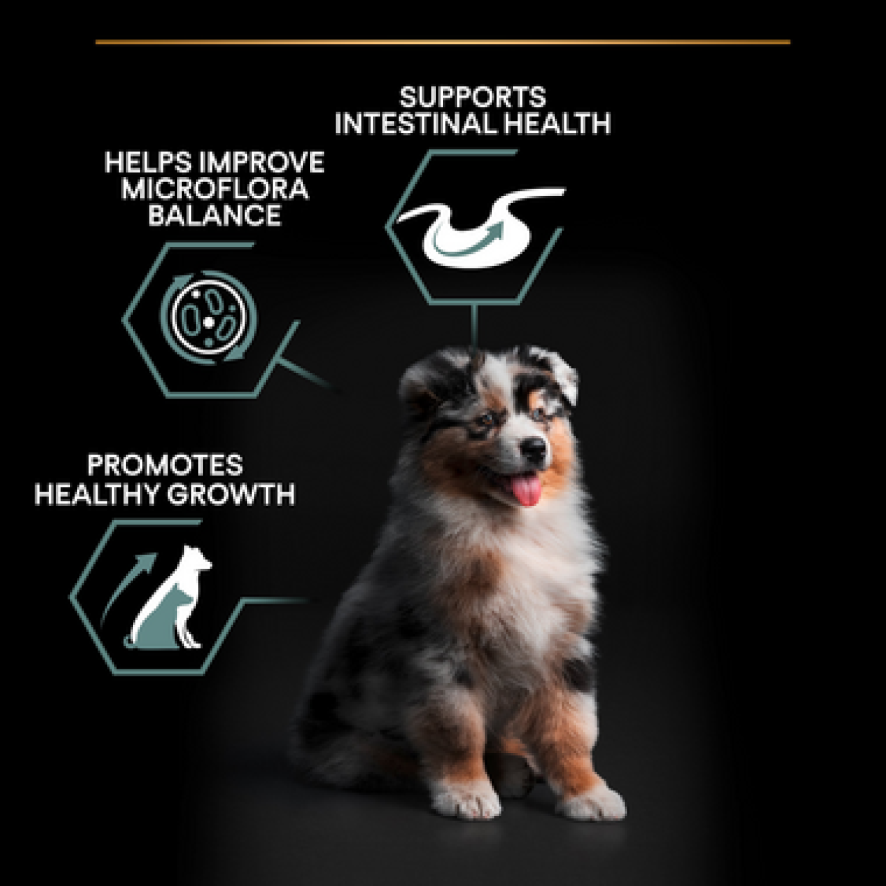 PRO PLAN Medium puppy sensitive digestion – lamb 12kg