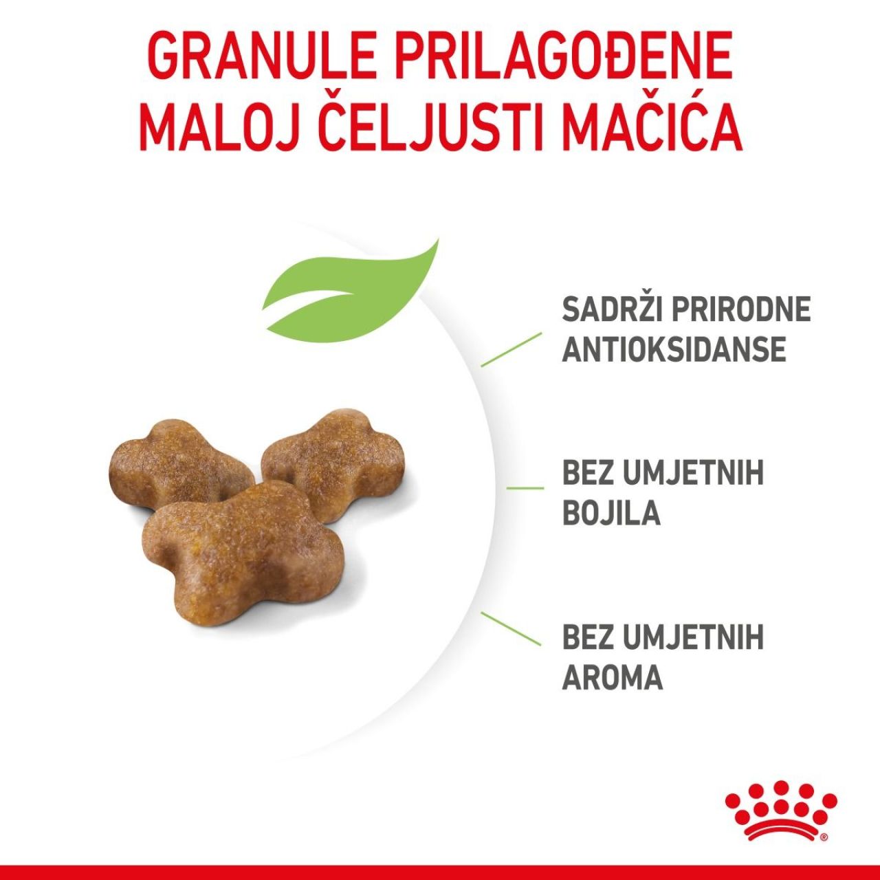 Royal Canin Cat Kitten