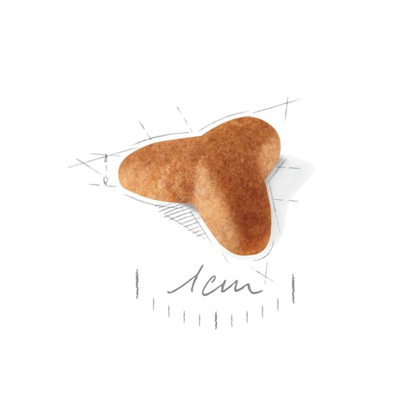 Royal Canin BHN PUG PUPPY 1.5kg