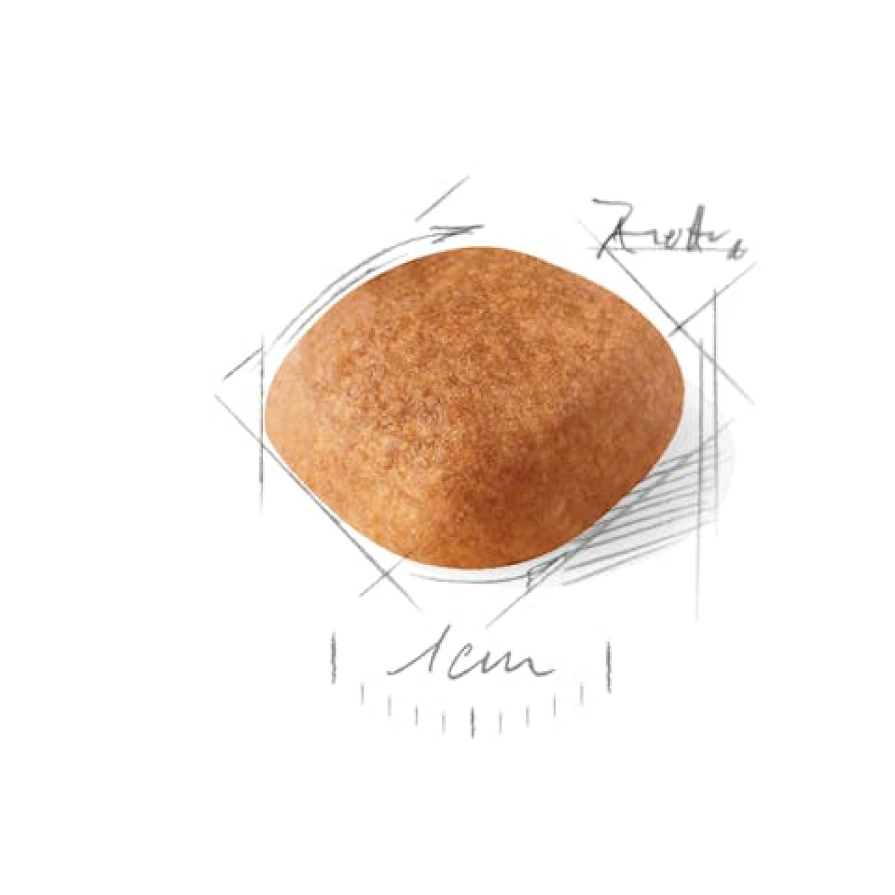 Royal Canin BHN WESTIE