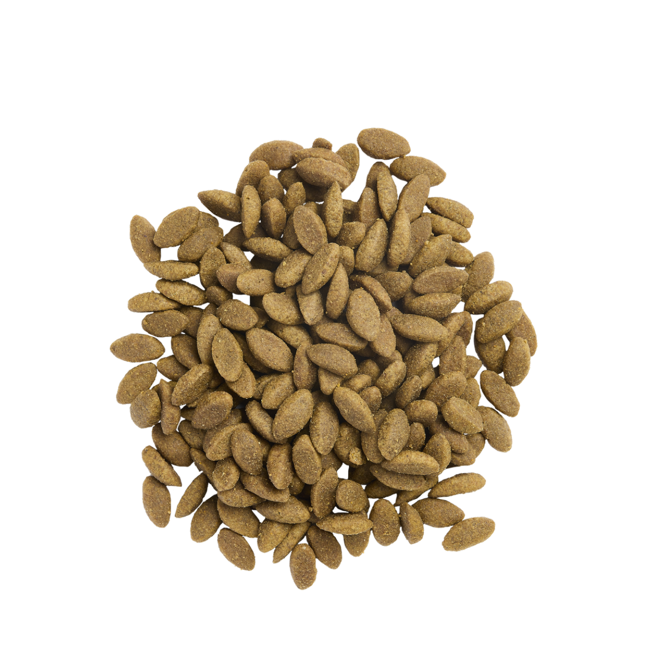 PRO PLAN Expert Care Nutrition - Canine Adult Derma Care - Losos