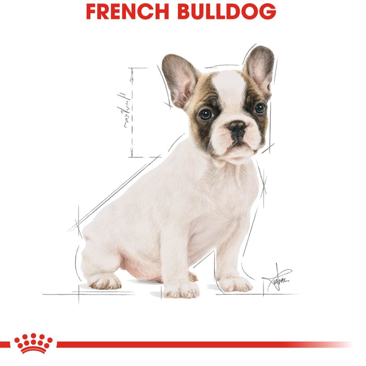 Royal Canin BHN FRENCH BULLDOG PUPPY 3kg