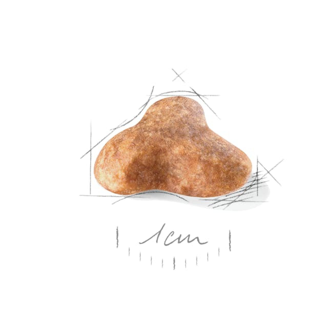 Royal Canin BHN PUG 1.5kg