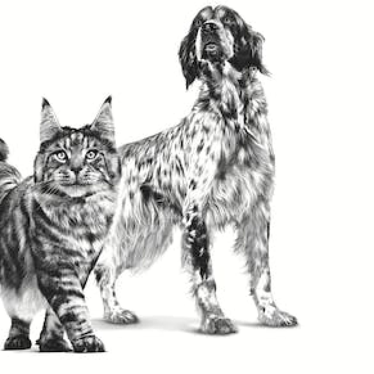 ROYAL CANIN VD RECOVERY za pse i mačke, konz. 195g