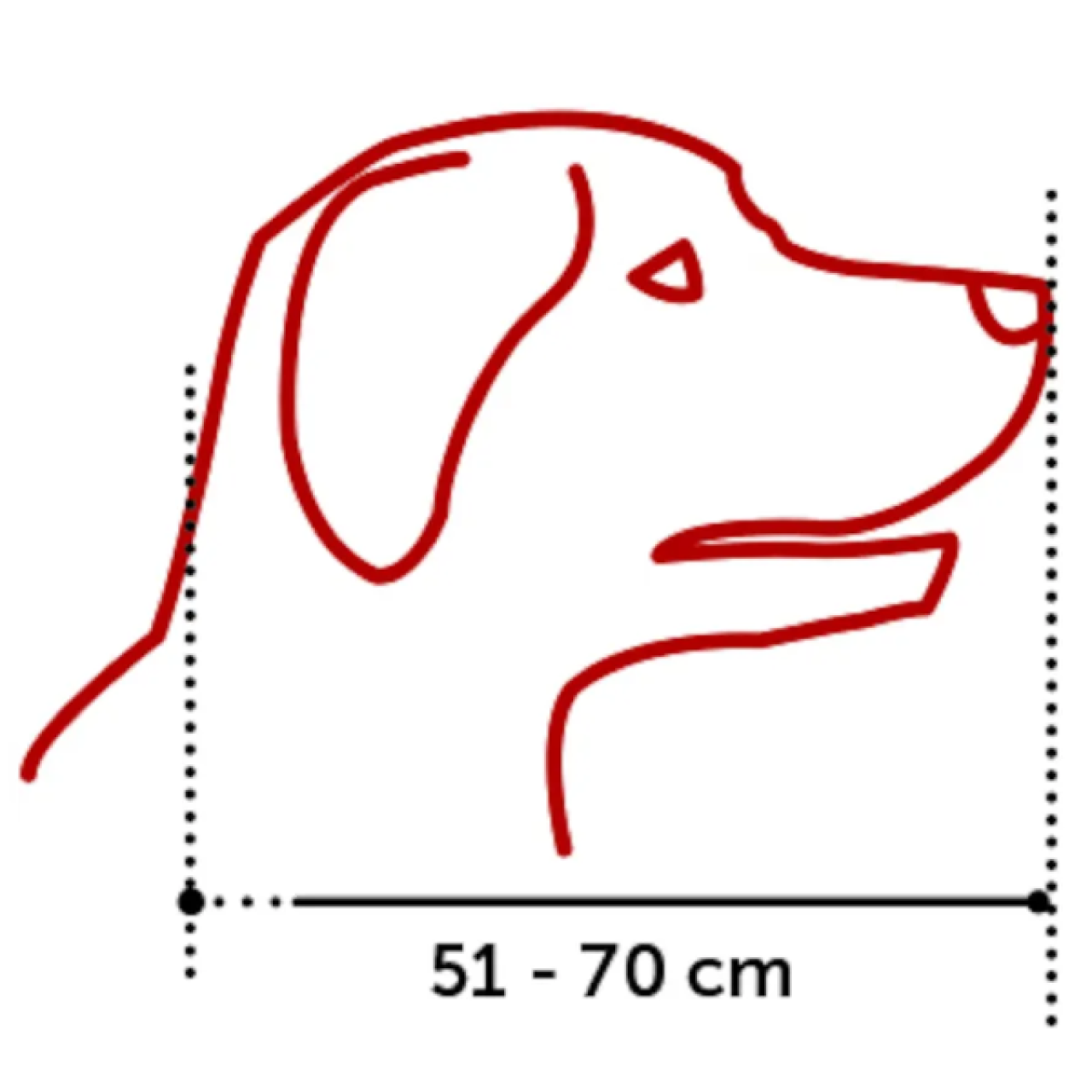 Flamingo SILAS BLACK Brnjica za psa XXL