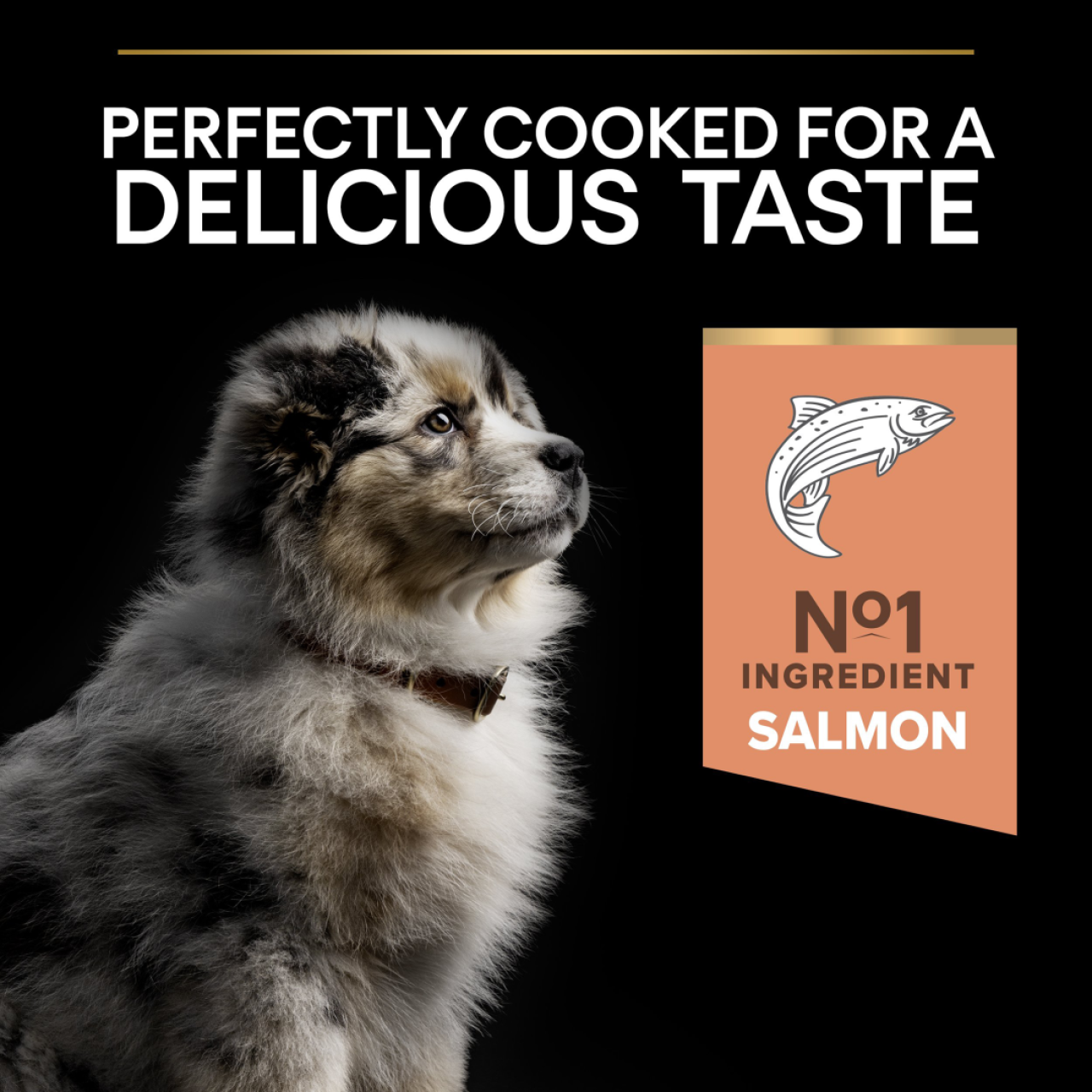 PRO PLAN Medium puppy sensitive skin - losos, 3kg