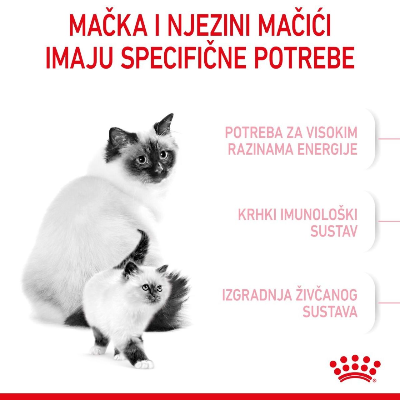 Royal Canin Cat Mother & Babycat