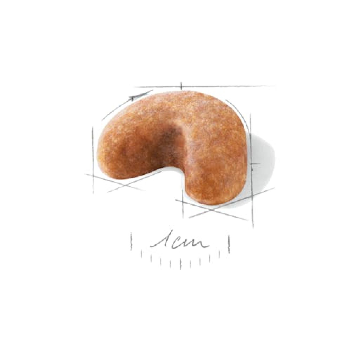 Royal Canin BHN FRENCH BULLDOG PUPPY 3kg