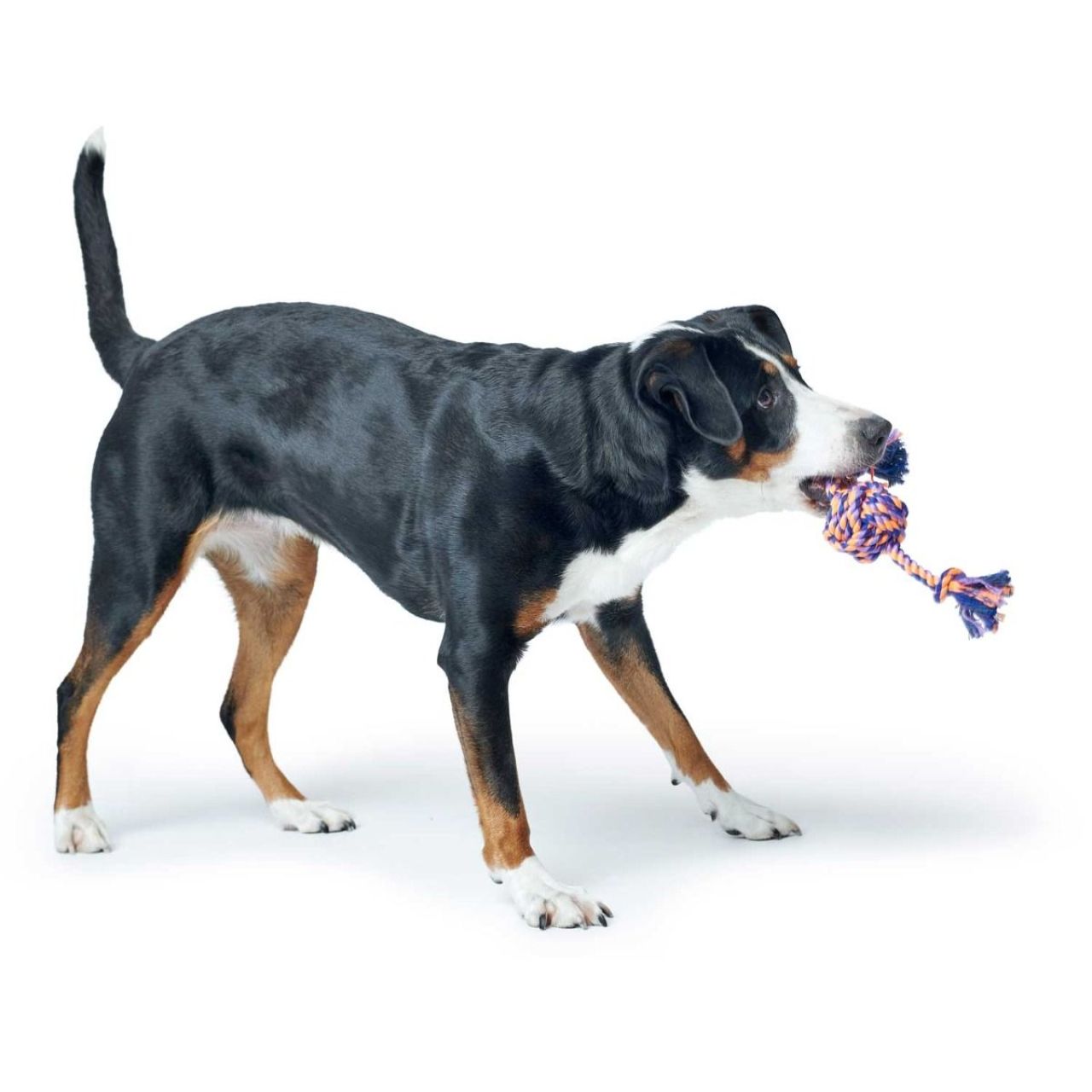 Hunter igračka za pse Jena lopta sa špagom, 38 cm