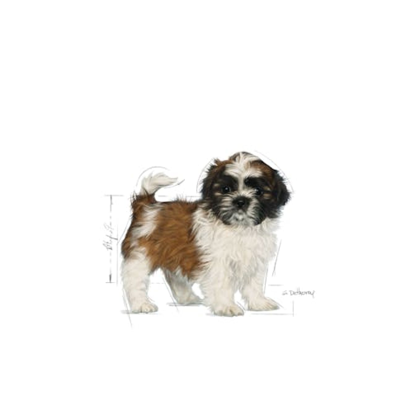 Royal Canin BHN SHIH TZU PUPPY 1.5kg