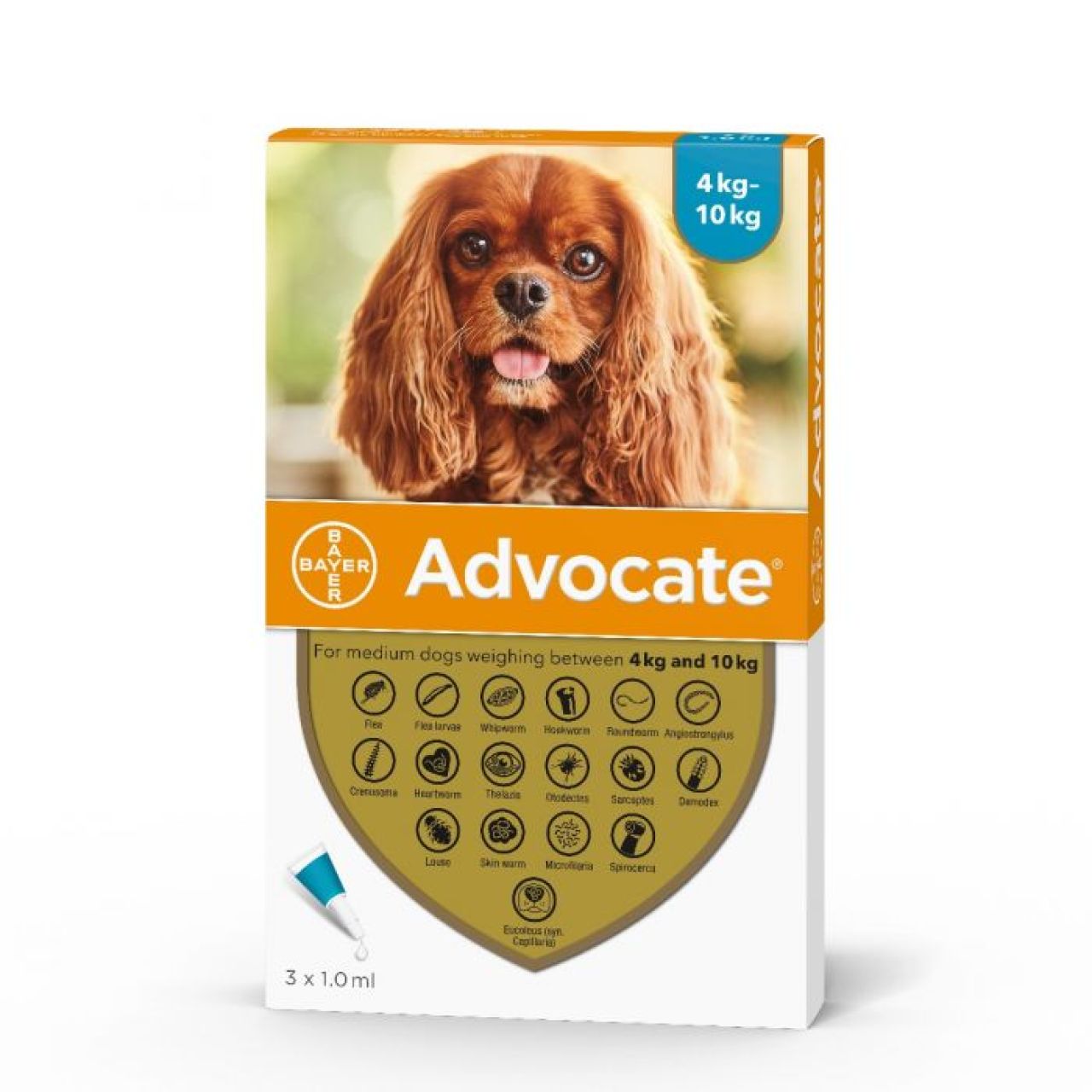 Advocate DOG od 4-10kg