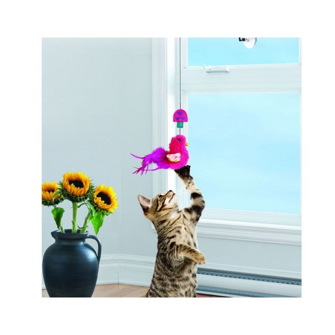 Kong Cat Connects Window Teaser