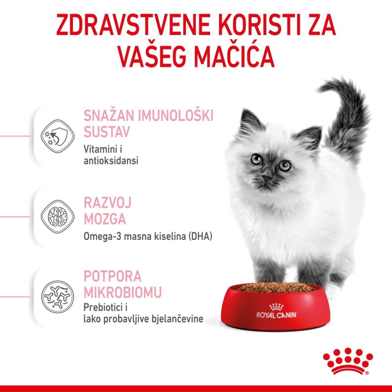 Royal Canin Cat Kitten 400g