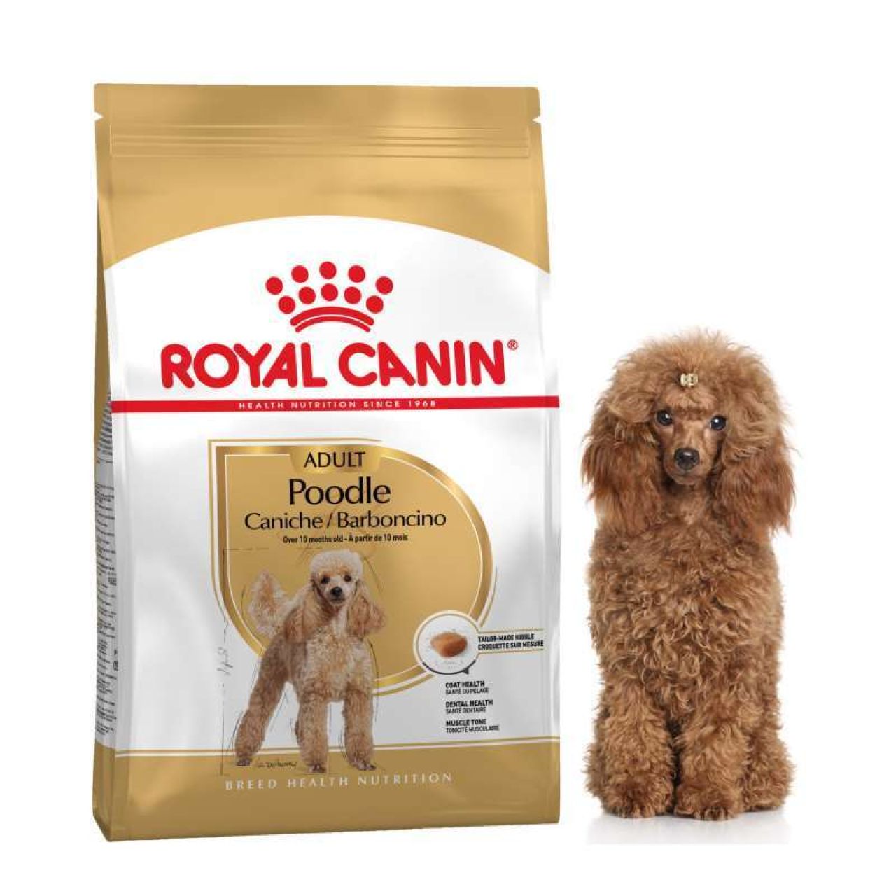 Royal Canin BHN POODLE